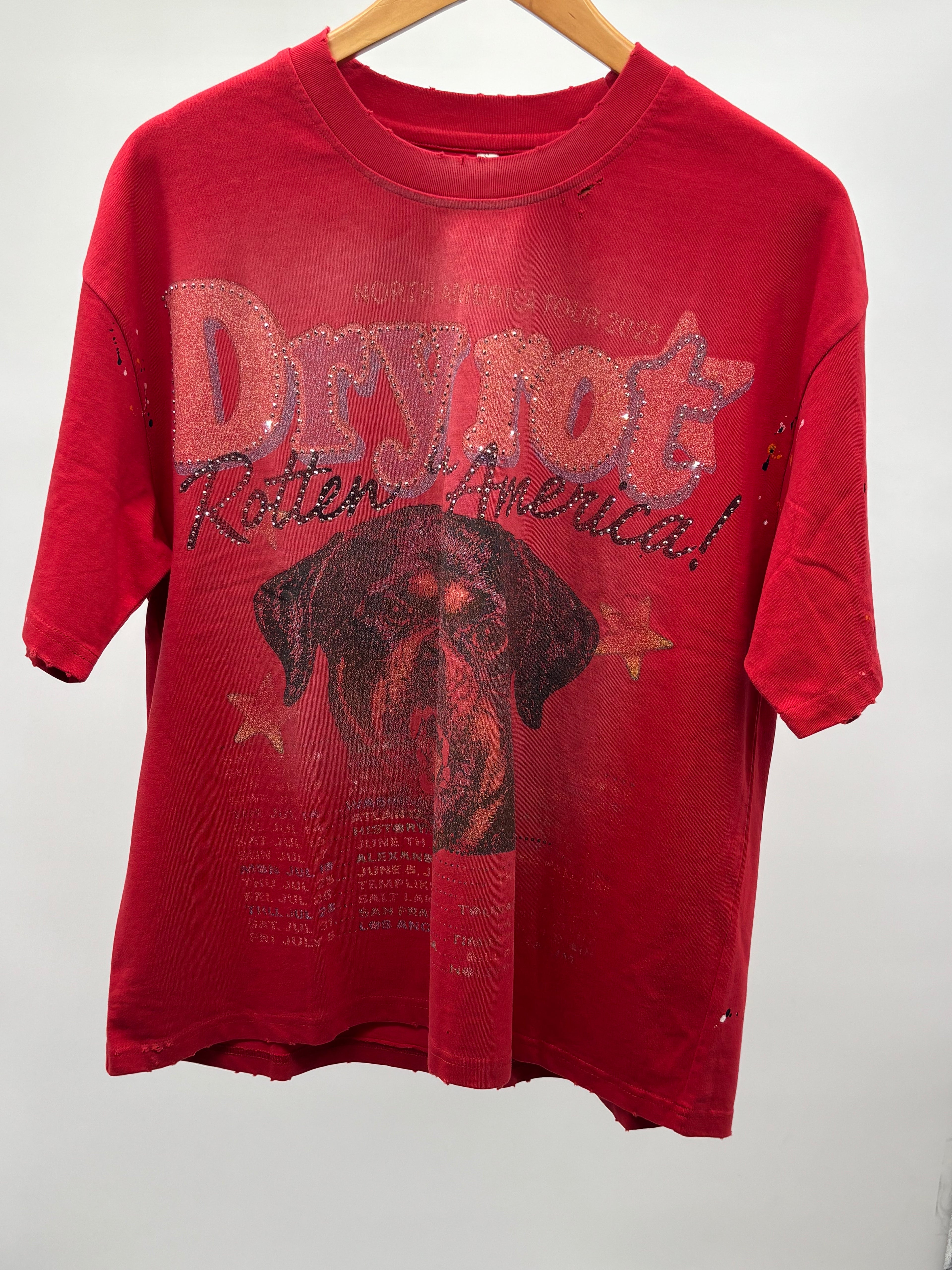 Dry Rot Rotten in America Tour Tee Red